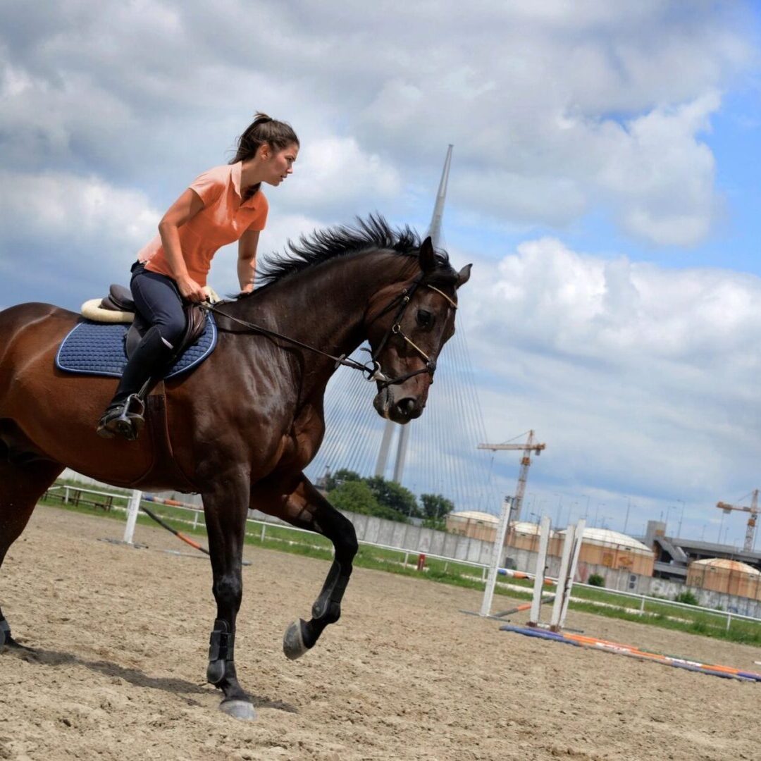 A Woman Riding a Horse